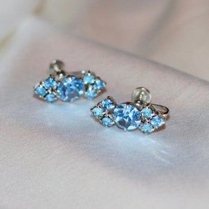 Vintage Screwback Gem Earrings